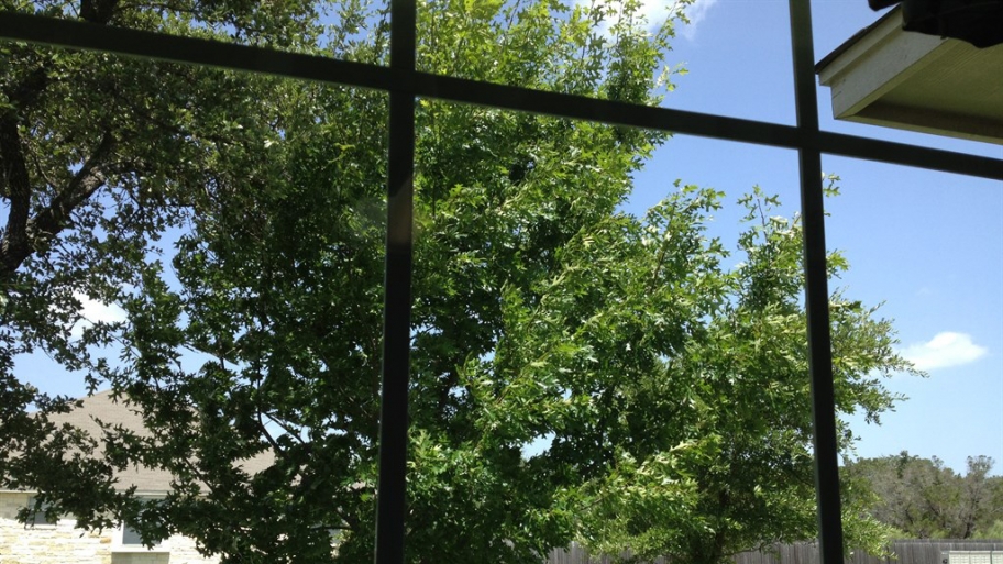 clean windows, window cleaning window